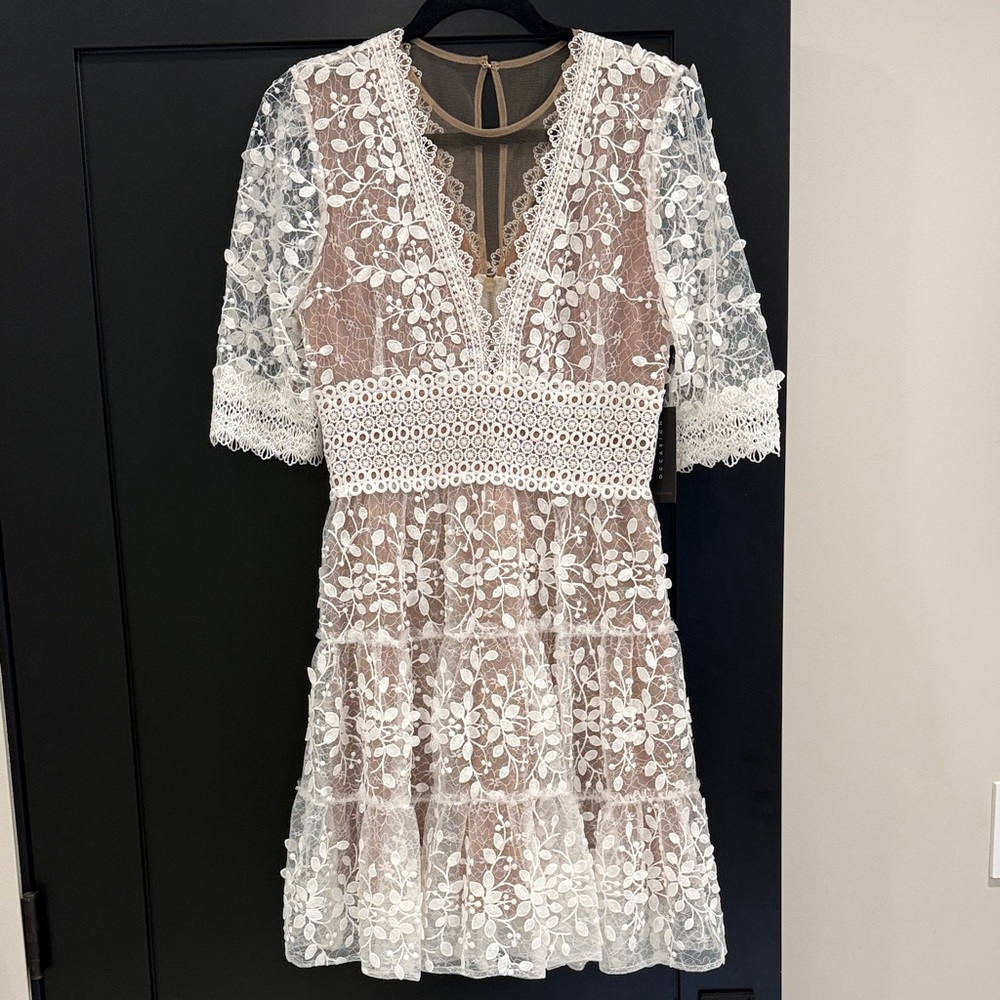 Elegant Lace V-Neck Dress